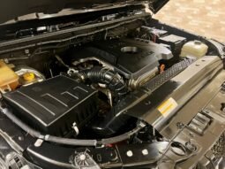 
										SAZGAR BAIC BJ40 2.0L TURBO full									